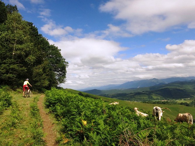 Soum de Thès VTT