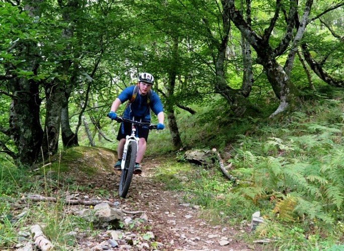 IMG-Descente-dans-le-bois-tourinsoft