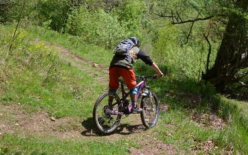 VTT N°3 - Chemin de Bosdapous