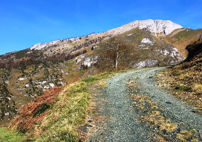 VTT N°6 -  Fougeraies de Laünde