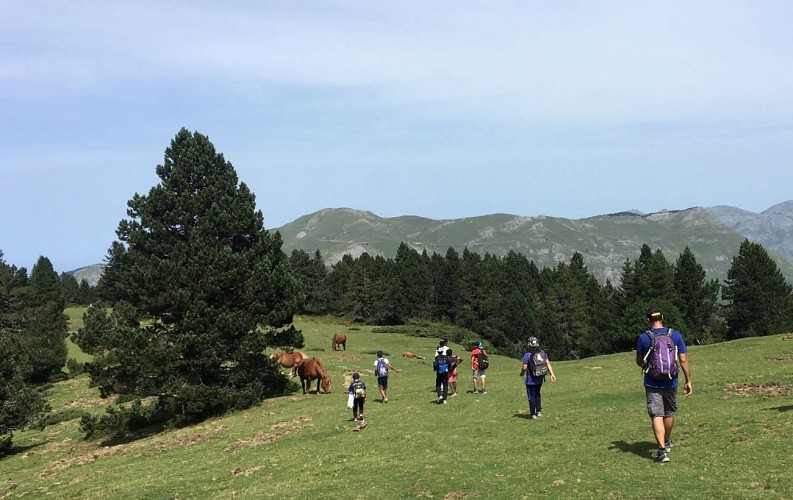 La descente avec le Layens en fond