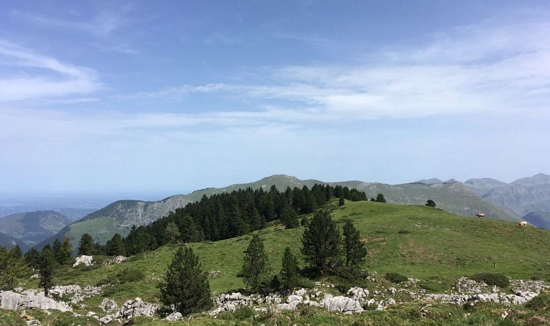 La vue depuis la cabane