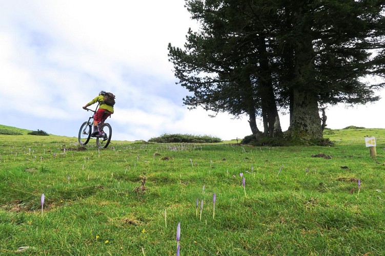 VTT N°44 - Cabane d'Ichéus