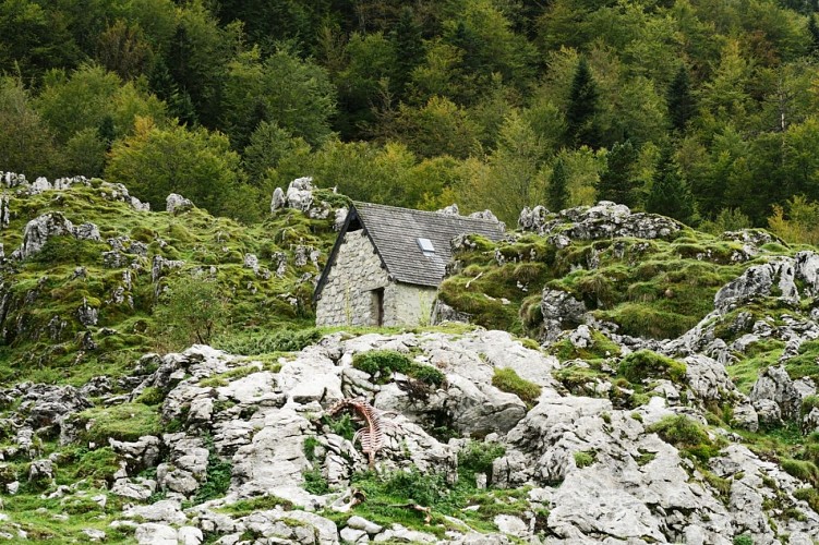 VTT N°44 - Cabane d'Ichéus