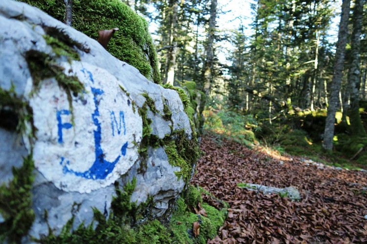 N°45 Chemin de Mâture d'Issaux