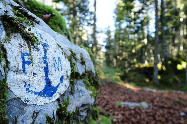 N°45 Chemin de Mâture d'Issaux