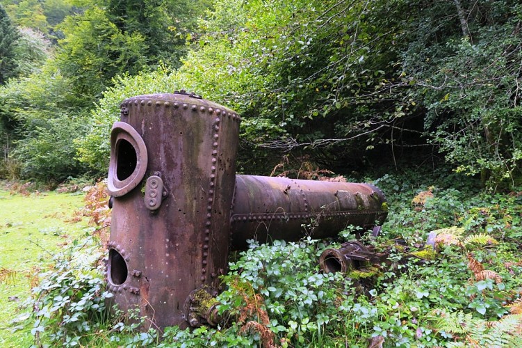 N°45 Chemin de Mâture d'Issaux