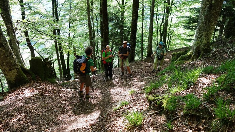 N°48 Cabane de Boué