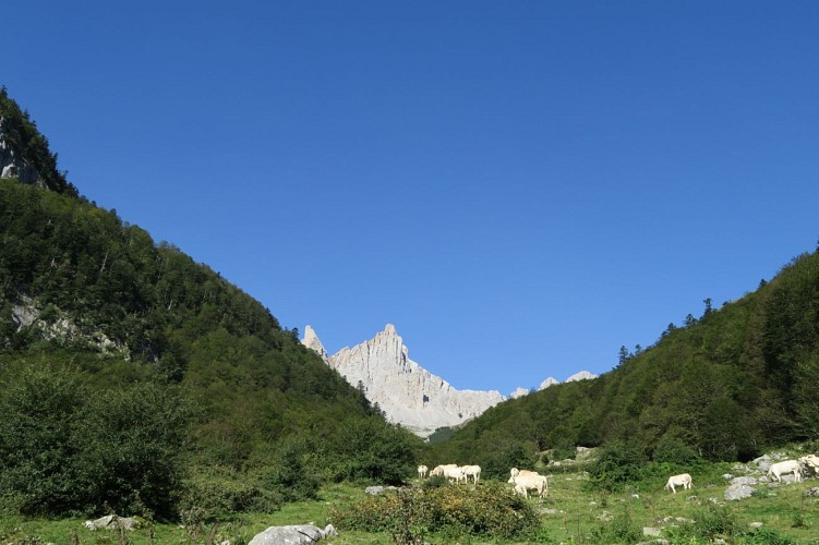 N°53 Col de Pétragème