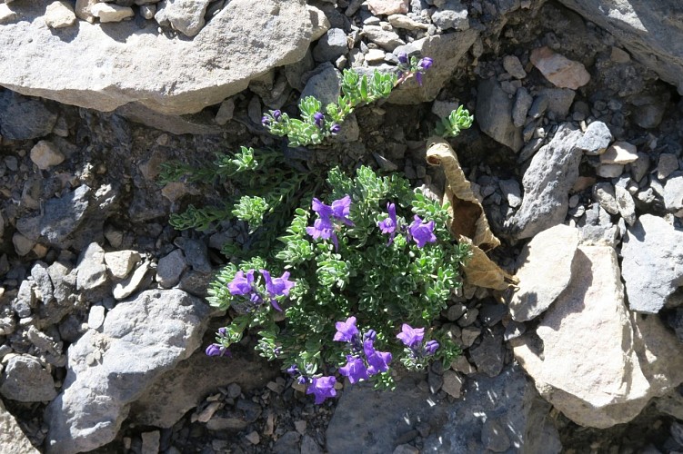 N°53 Col de Pétragème