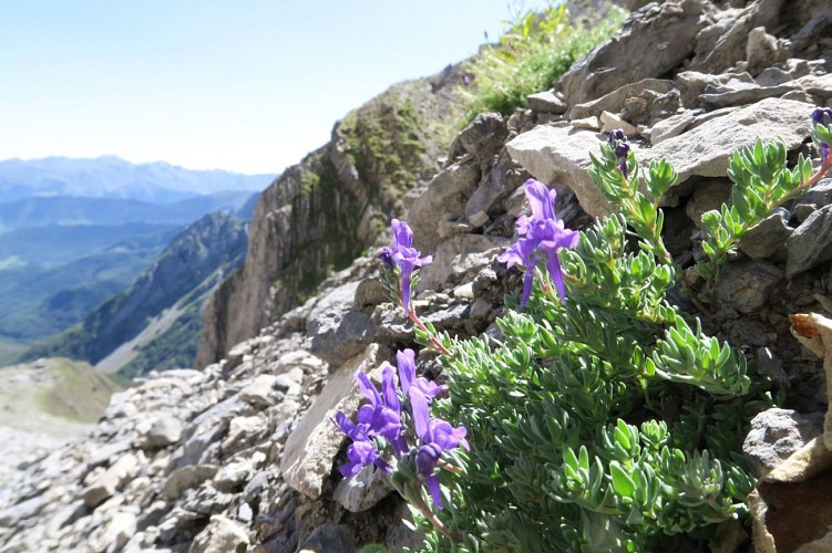 N°53 Col de Pétragème