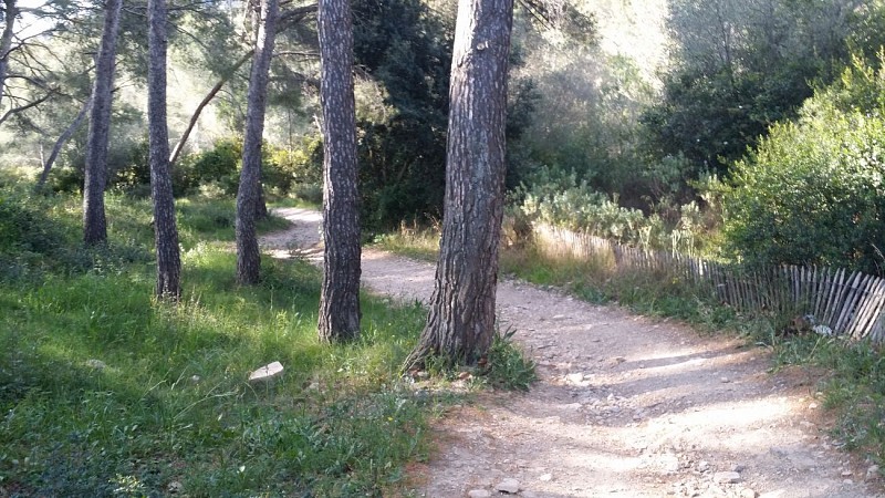 Le sentier des vignes