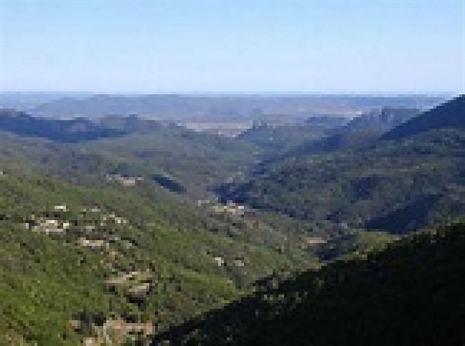 Colognac - Col des Fosses - Le Caylaret - Col de la Pierre Levée