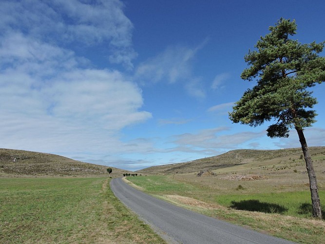 route du causse Méjean
