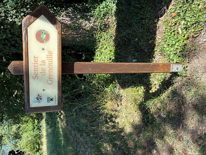 Sentier de la grenouille
