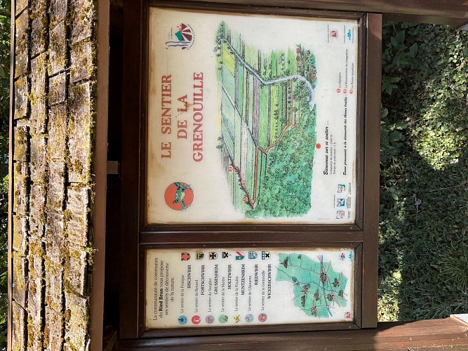 Sentier de la grenouille