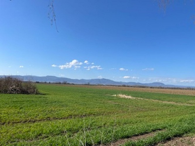 Pfad der Erinnerungen an den Zweiten Weltkrieg