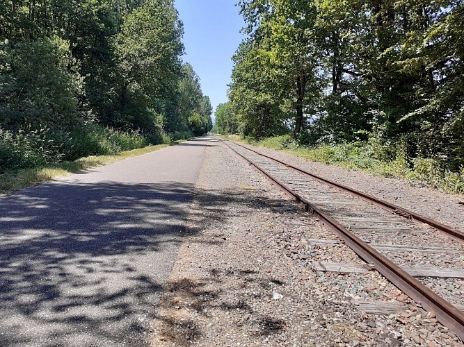 Playful walk in Guewenheim