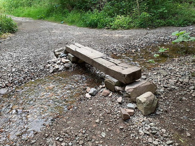 Playful walk in Sewen