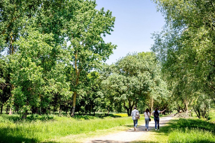 Lac, étang et affluent