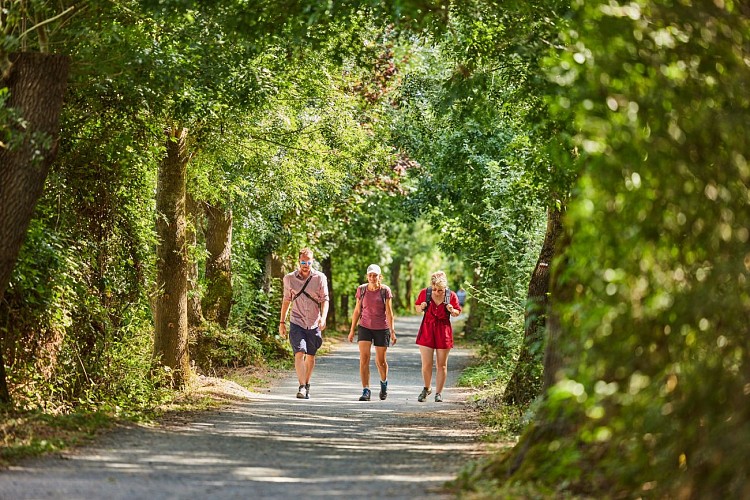 Lac, étang et affluent