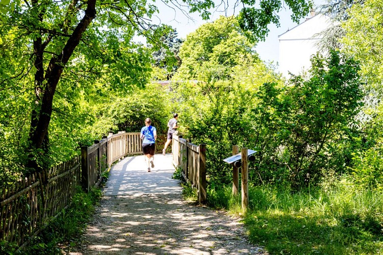 Lac, étang et affluent