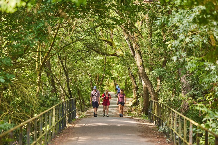 Lac, étang et affluent