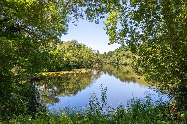 Lac, étang et affluent