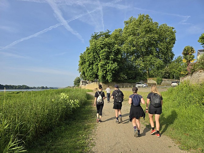 À la confluence de la Maine et de la Loire