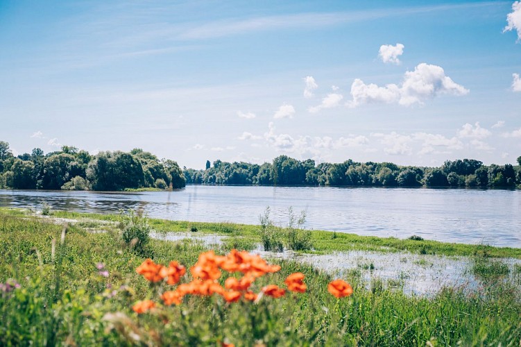 À la confluence de la Maine et de la Loire
