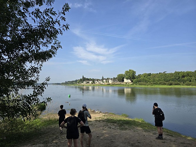 À la confluence de la Maine et de la Loire