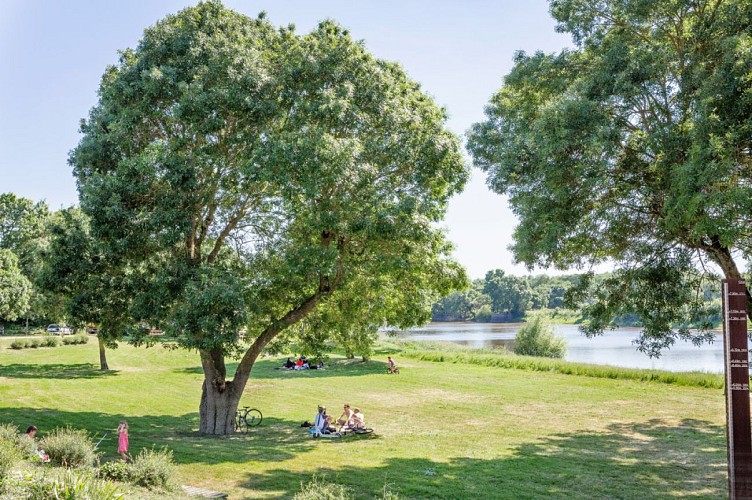 Entre Mayenne et prairies des Basses Vallées Angevines