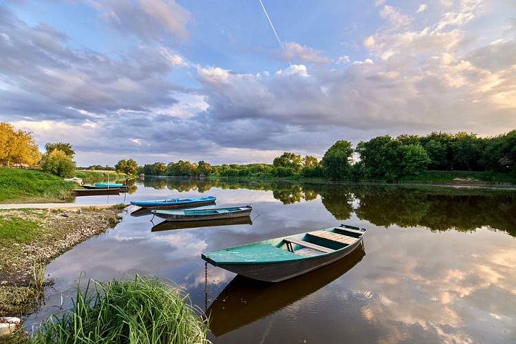 Entre Mayenne et prairies des Basses Vallées Angevines