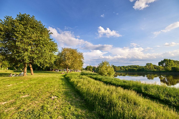 Entre Mayenne et prairies des Basses Vallées Angevines