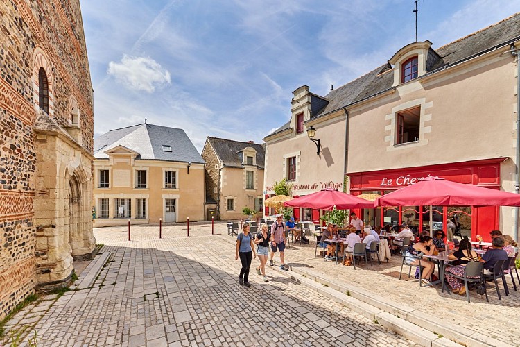 Sur les coteaux de Savennières