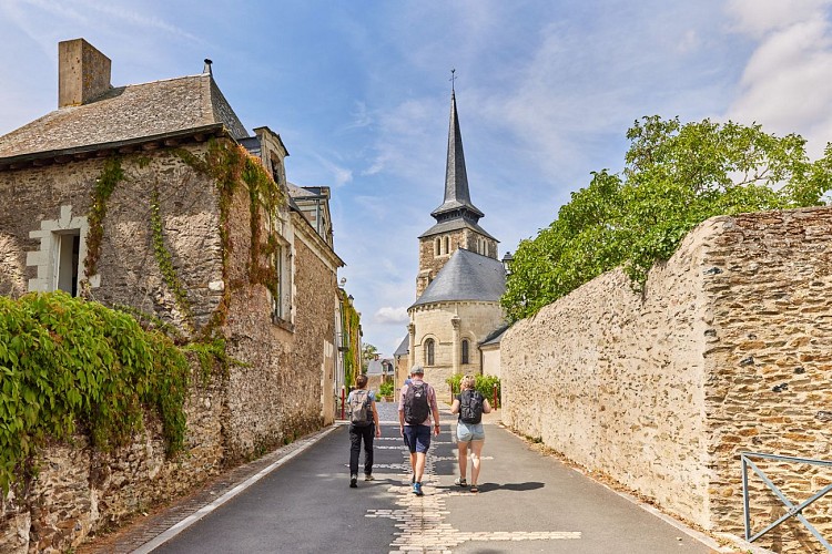 Sur les coteaux de Savennières