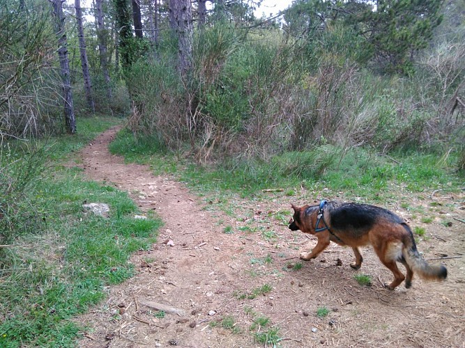 Ne pas rater l'embranchement à gauche
