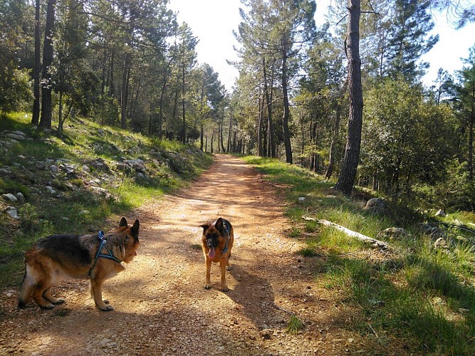 La piste du Défens, pour la descente