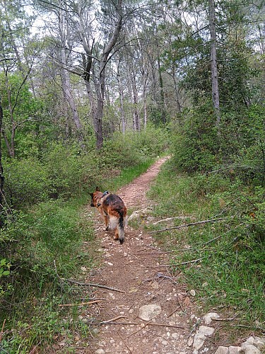 Seypah connaît toutes les pistes locales !