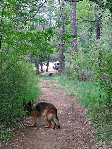 Et Seypah nous ramène à la Jeep, comme promis