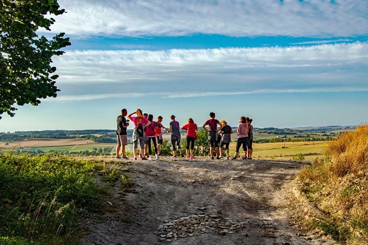 Balades en Alsace Bossue à travers champs et forêts