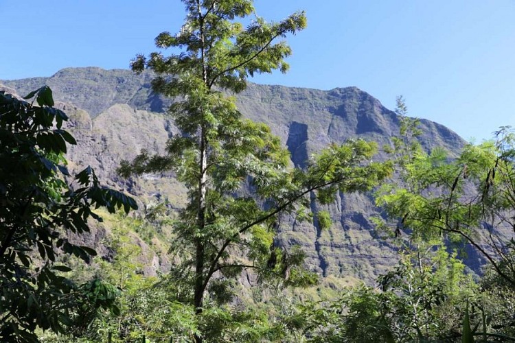 De Cayenne à Roche Plate