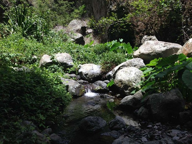 De l'Ilet des Lataniers Ã  Roche Plate, par ilet Ã  Cordes