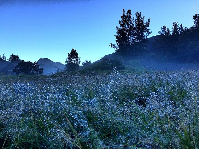 De La Nouvelle Ã  Roche Plate, par le Bronchard