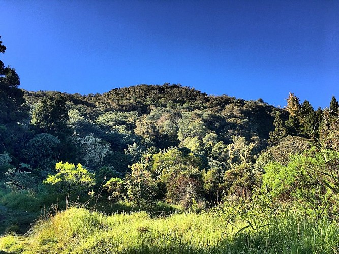De La Nouvelle Ã  l'Ilet Ã  Malheur