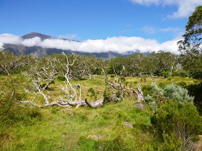 De Marla Ã  AurÃ¨re, par le sentier Augustave
