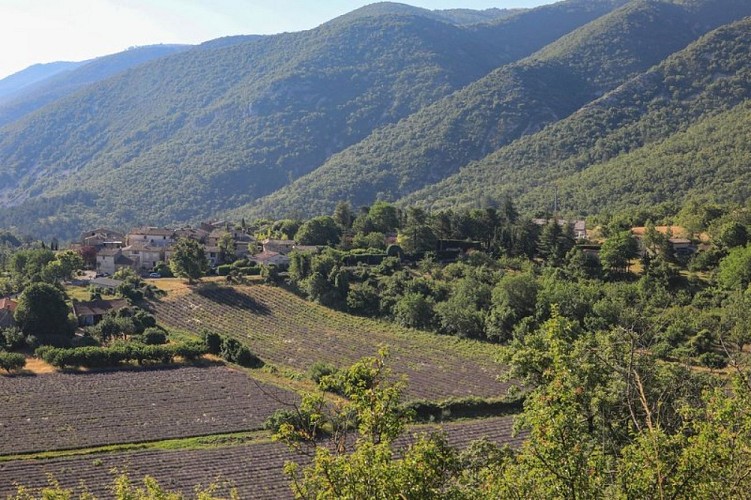 Auribeau au pied du Grand Luberon