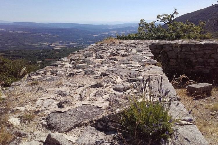 Lavande et fortifications du castrum de Saint-Pierre