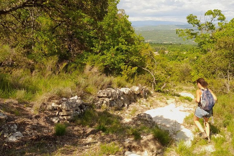 Sur le sentier de Saint-Pierre