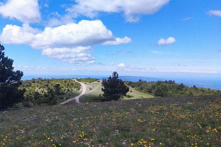 Crêtes du Grand Luberon